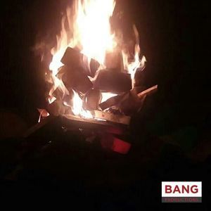 Meet your Posher, Curtis